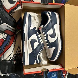 Nike valerian blue dunk low DD1391-400